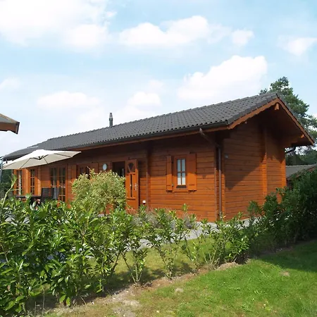 Wooden Near Brunssummerheide * Brunssum