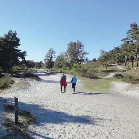 Wooden Near Brunssummerheide Brunssum